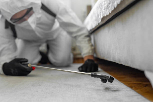 Professional Termite Control technician working in Shavertown, PA