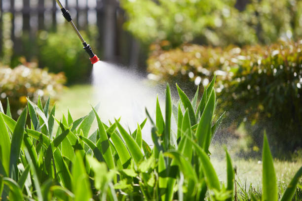 24/7 Emergency Termite Control experts in Shavertown, PA