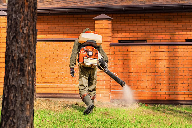 Top rated local Termite Control specialists in Shavertown, PA